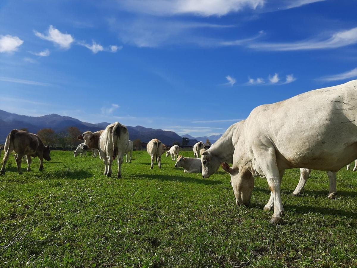 Agriturismo Fior Di Campo Dronero Bagian luar foto