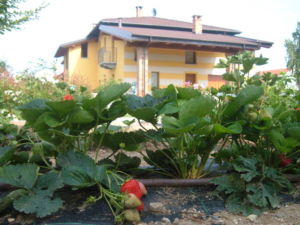Agriturismo Fior Di Campo Dronero Bagian luar foto